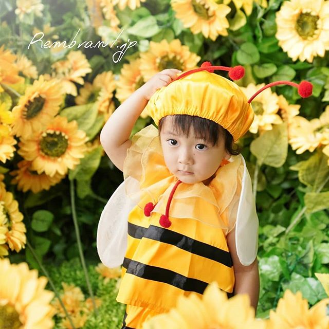 可愛い蜂さん レンブラントにしては珍しい 笑 着ぐるみ系お衣装 艸 京都のおしゃれな写真館 スタジオレンブラント