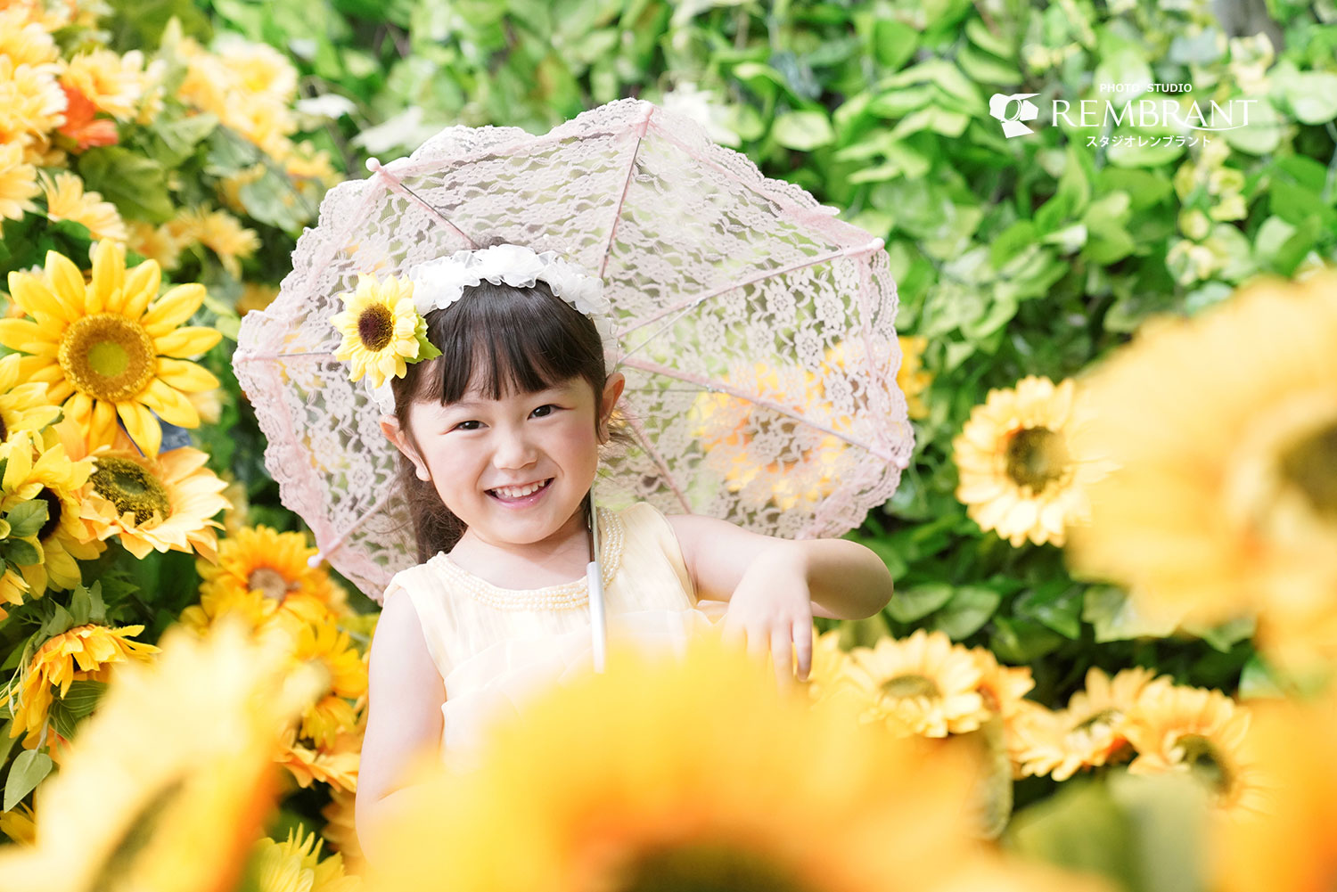 最高の動物画像 無料ダウンロードひまわり 可愛い 画像