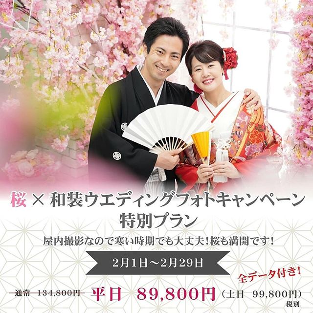 🌸大人気！桜のセットで撮れる！桜×婚礼和装撮影プラン、キャンペーン開催です！🌸…