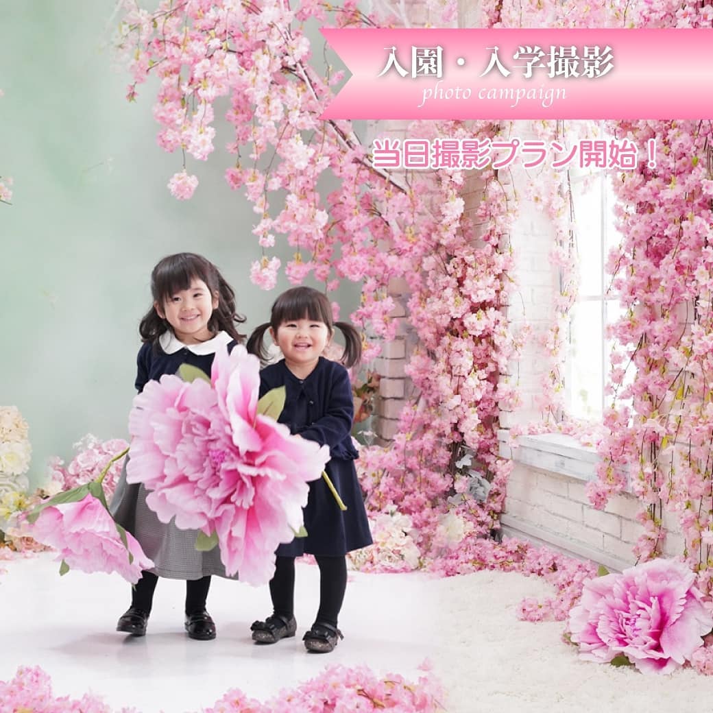 大人気！🌸可愛い桜の背景で撮れる！！🌸入園・入学記念フォト、ご予約受付中です…