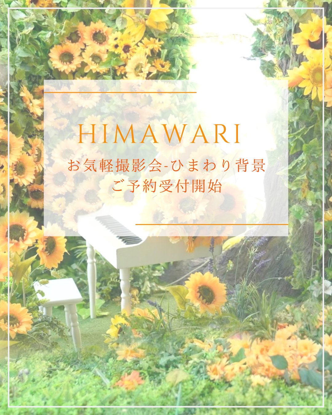 ７月&８開催決定！ひまわり撮影会ご予約受付開始です！