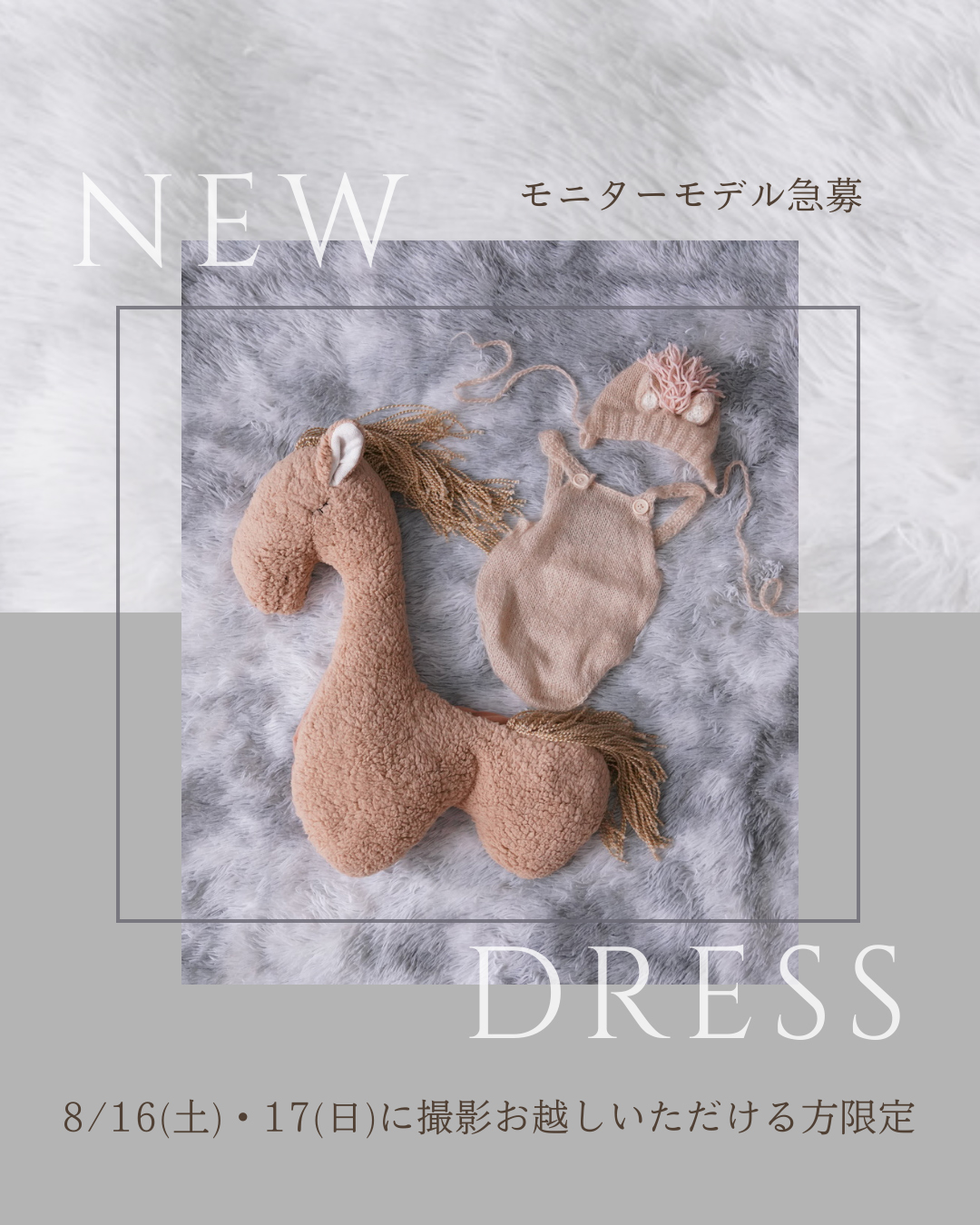 【※応募締切ました】干支ぐるみ撮影モニターモデルさん募集！8/16(土)・17(日)開催！