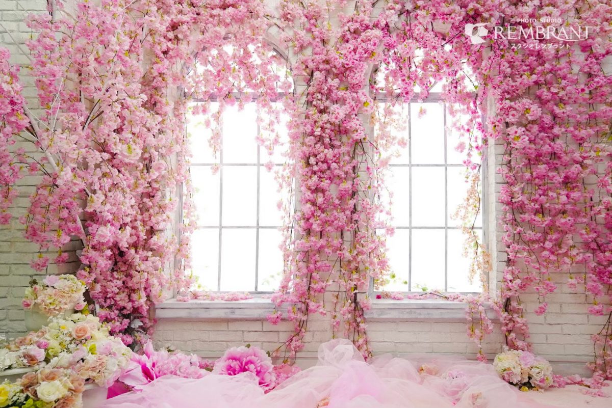 桜背景アーチ窓