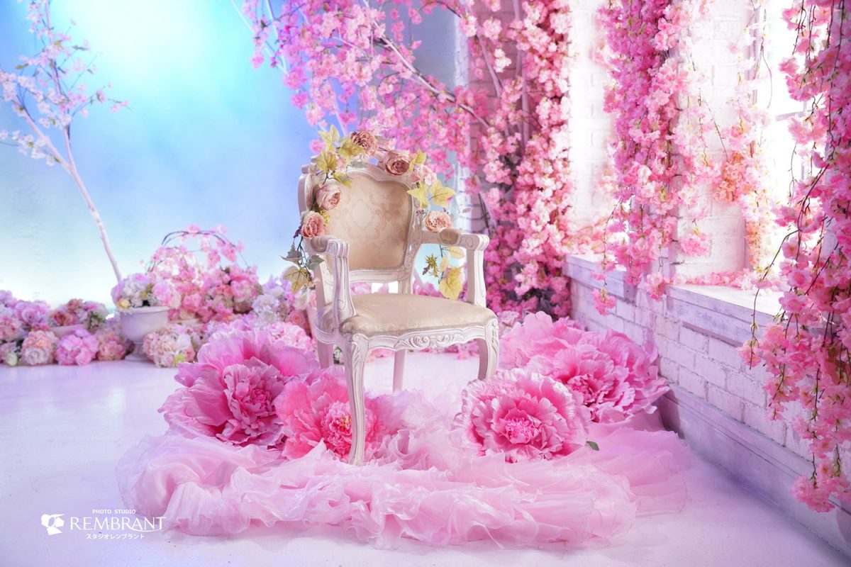 桜背景椅子と一緒