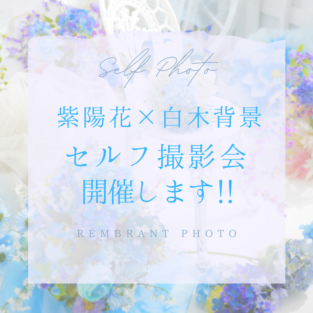 初登場!紫陽花×白木背景で撮れる!セルフ撮影会、開催いたします!