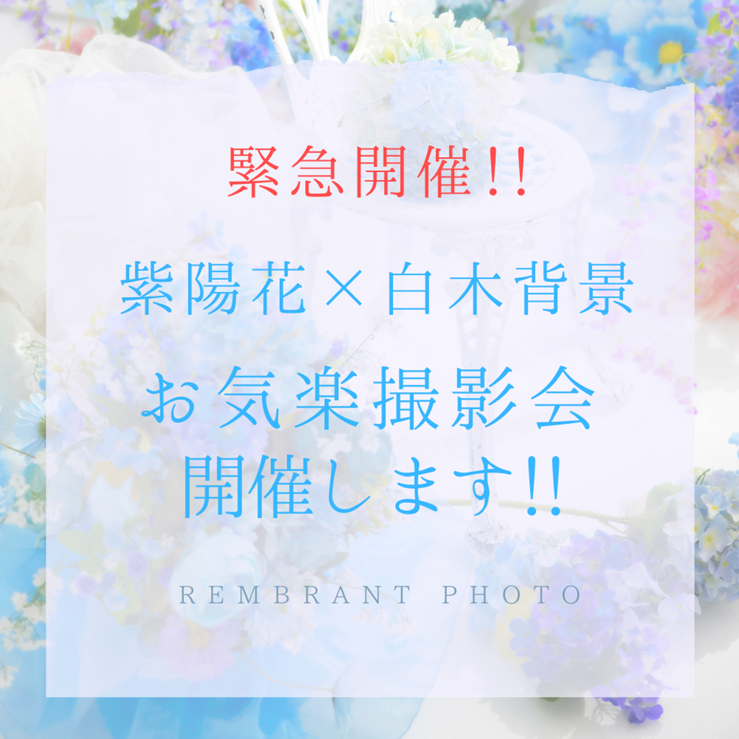 急遽開催決定!期間限定復活!お気楽撮影会、開催します!!
